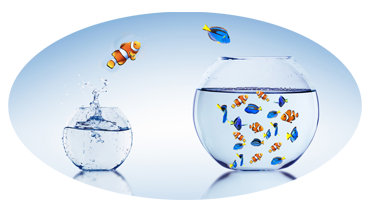 2 fishbowls with teng and clown fish jumping from one into the other, leaving the left one empty and right one full of fish